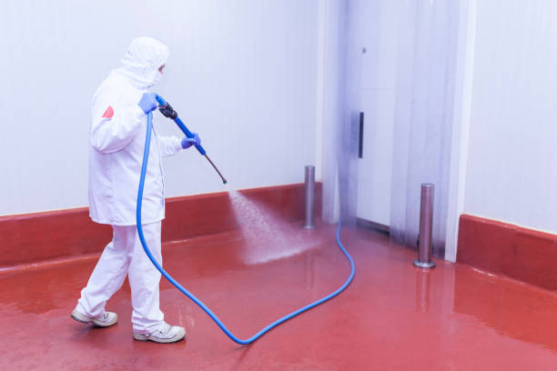 Best Paint Preparation  in Kenvil, NJ